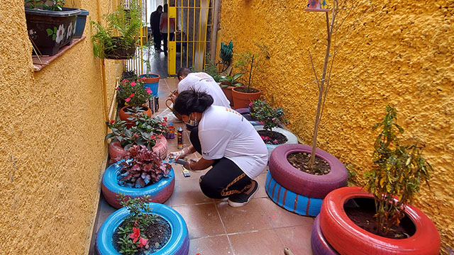 voluntarios (2)